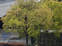 -浦东市民中心-停车场