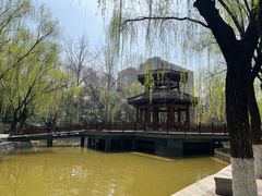 -西安市长乐公园
