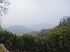 -莫干山风景区