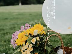 -羊山湖公园