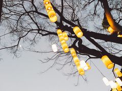 -醉云喃