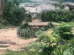 -石排湾郊野公园