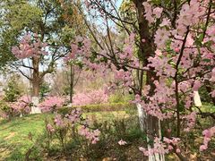 -好人民间小吃(镇江八佰伴店)