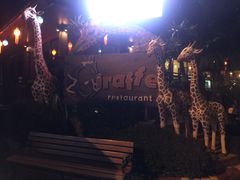 -清迈夜间动物园