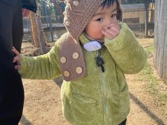 -前小桔亲子创意农场·草莓采摘·露营烧烤