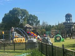 -上海长兴岛郊野公园