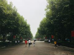 -东华大学(松江校区)