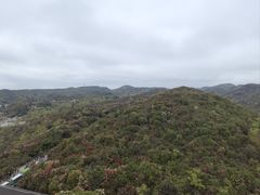 -贵州百里杜鹃风景名胜区