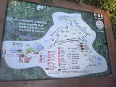 -野象谷景区