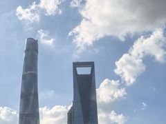 -智慧盲人按摩艾灸-颈肩腰膝疼痛调理(浦东店)