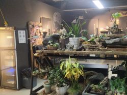 -周忆刺青原创设计定制