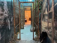 -北京动物园-畅观楼