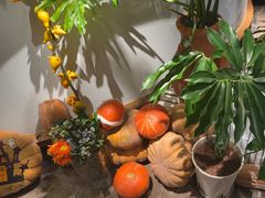 -懒人盐府人家(航天桥店)