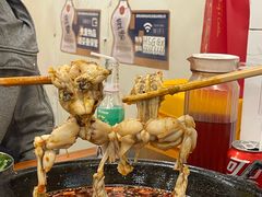-鸿顺老铁锅美蛙鱼府(解放碑店)
