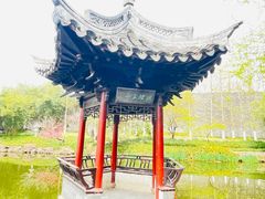 -水绘园