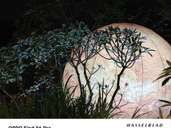 -广州市紫泥堂文化创意园景区