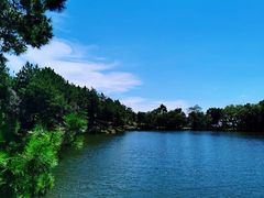 -南京市无想山景区