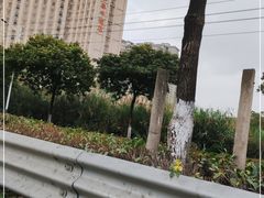 -国家五钻酒家·西樵旺阁渔村(西樵店)