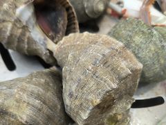 -仙螺岛海鲜自助餐厅(总店)