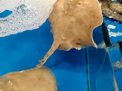 -慧美铜锅涮肉