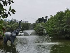 -深圳野生动物园