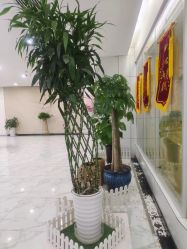 -纵享怡月月子中心(西稍门店)