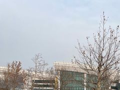 -北京海洋馆