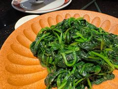 -塔哈尔·新疆盛宴(复地活力城店)