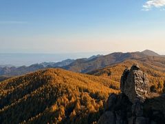 -苏木山森林公园