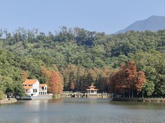 -深圳仙湖植物园