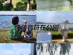 -丁香湖公园