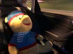 -守柴炉烤鸭(科华中路王府井店)