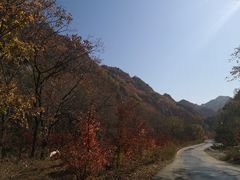 -大连天门山国家森林公园