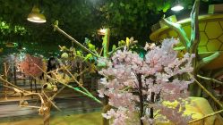 点击看大图 -酷嗒动物文化乐园(cutezoo西溪乐天城店)