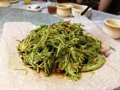 高山沙松尖-阿谋美食·广西菜