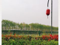 -西安汉城湖景区