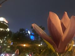 -上海世纪汇广场