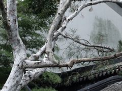 -拙政园