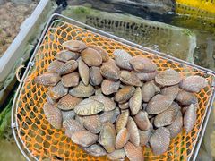 -岛中岛·海鲜大排档·万宁老字号(东澳店)