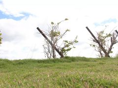 -鹅銮鼻公园