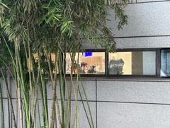 -金陵图书馆