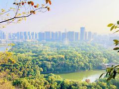 -雀儿山公园