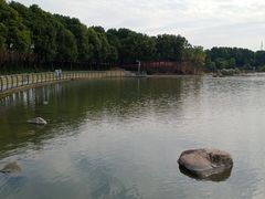 -美兰湖景区