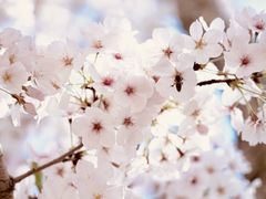 -永乐路-路侧停车场