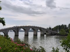 -万绿园