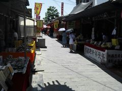 -茯茶镇