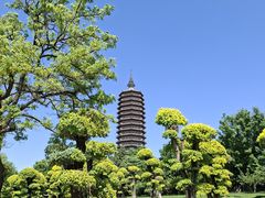 -西海子公园