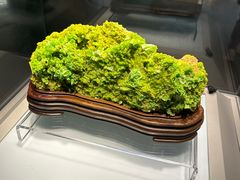 -安徽省地质博物馆