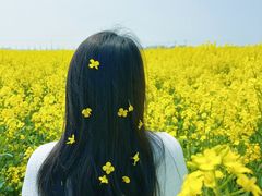 -西京湾花海