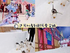 -广州热雪奇迹